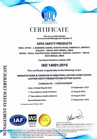 Certificate 1